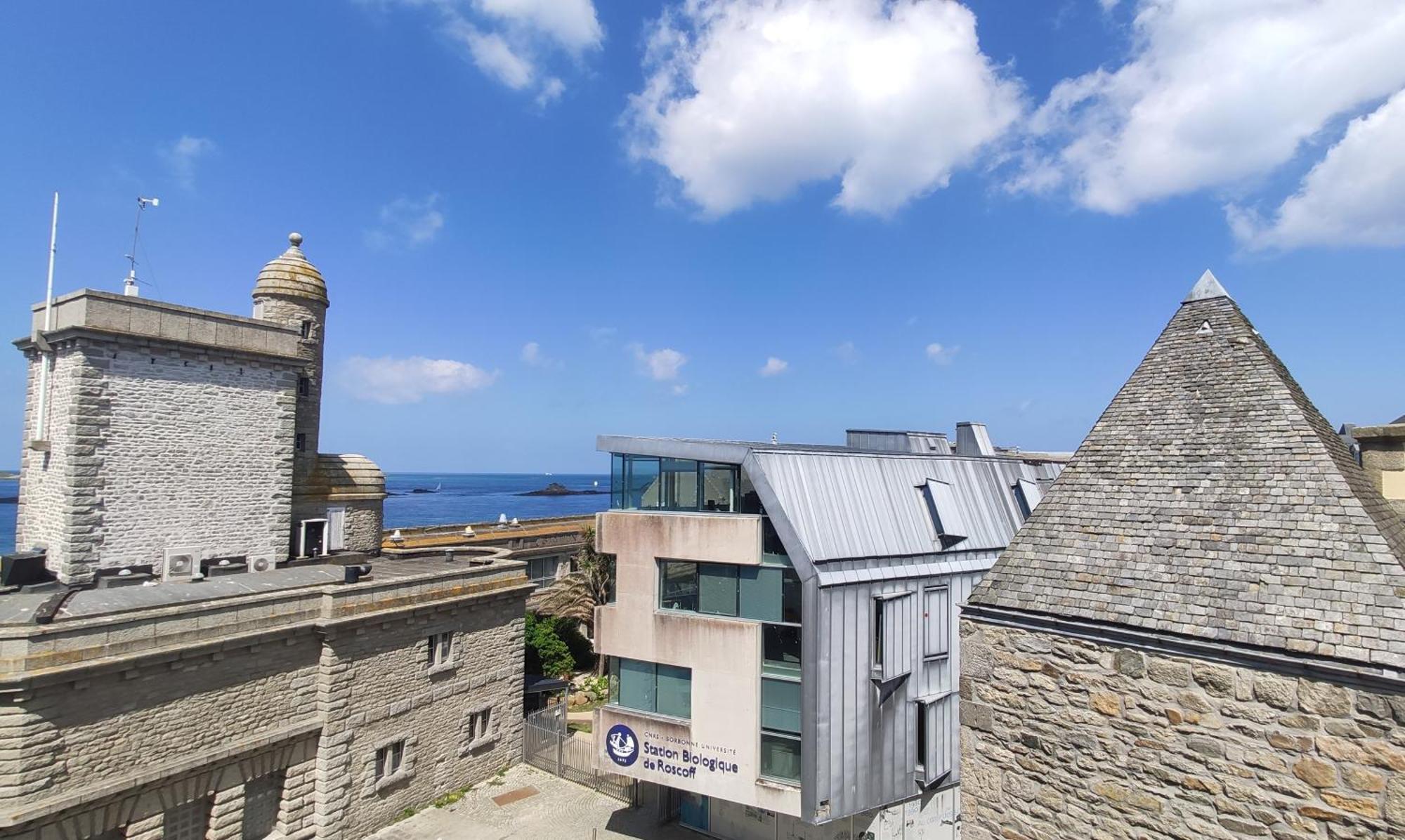 Roscoff 2 Pieces Classe 2 Etoiles Et Terrasse Centre Historique Eksteriør bilde