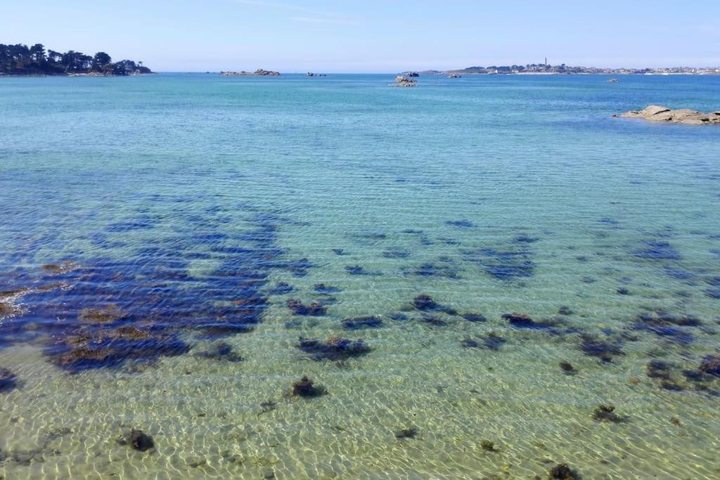 Roscoff 2 Pieces Classe 2 Etoiles Et Terrasse Centre Historique Eksteriør bilde